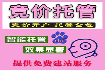行业领先的SEM策略：成功案例与经验分享